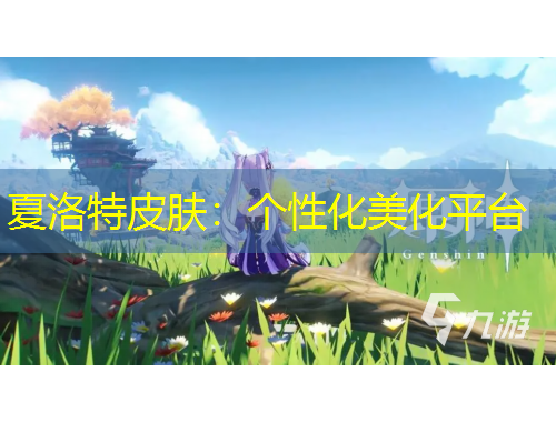 夏洛特皮膚：個性化美化平臺