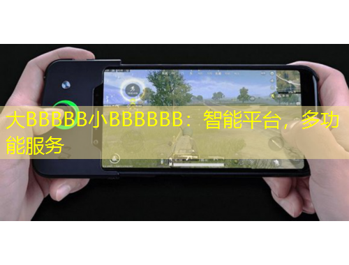 大BBBBB小BBBBBB：智能平臺(tái)，多功能服務(wù)