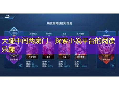 大腿中間兩扇門(mén)：探索小說(shuō)平臺(tái)的閱讀樂(lè)趣