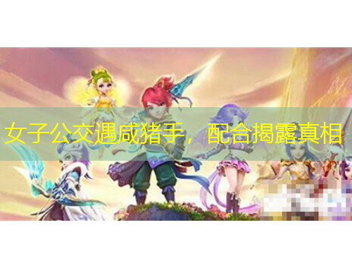 女子公交遇咸豬手，配合揭露真相