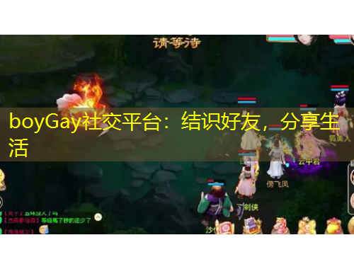 boyGay社交平臺(tái)：結(jié)識(shí)好友，分享生活