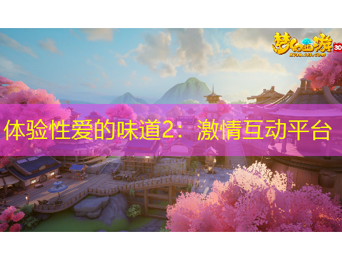 體驗性愛的味道2：激情互動平臺