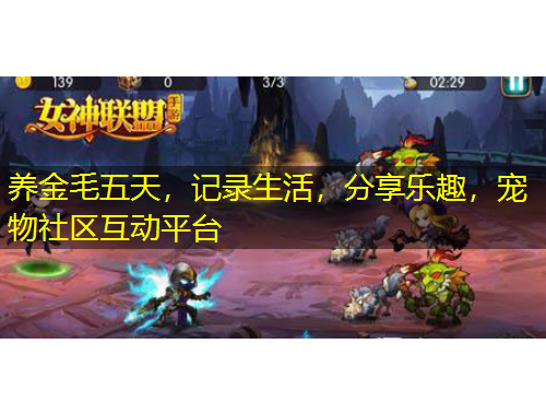 養(yǎng)金毛五天，記錄生活，分享樂趣，寵物社區(qū)互動平臺