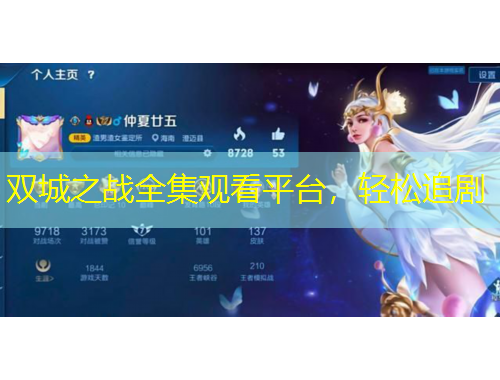 雙城之戰(zhàn)全集觀看平臺(tái)，輕松追劇