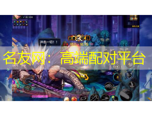 名友網(wǎng)：高端配對平臺