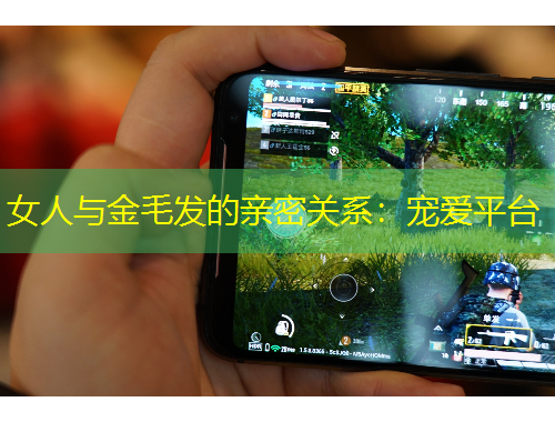 女人與金毛發(fā)的親密關(guān)系：寵愛(ài)平臺(tái)