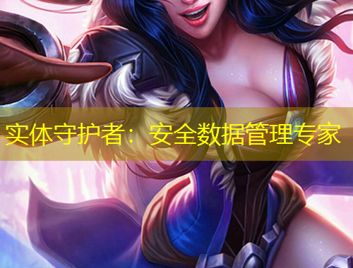 實(shí)體守護(hù)者：安全數(shù)據(jù)管理專家