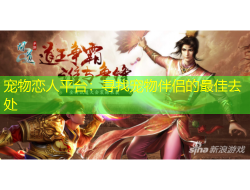 寵物戀人平臺：尋找寵物伴侶的最佳去處