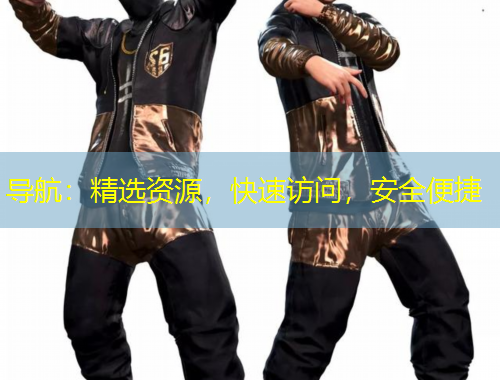 導(dǎo)航：精選資源，快速訪問(wèn)，安全便捷