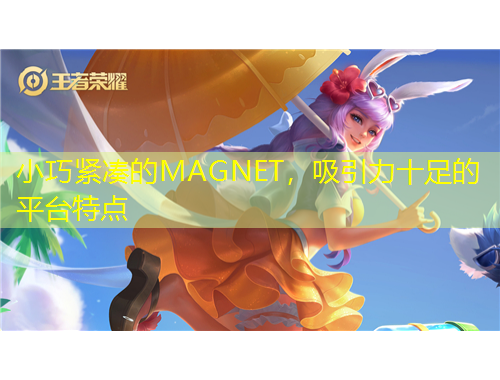 小巧緊湊的MAGNET，吸引力十足的平臺(tái)特點(diǎn)