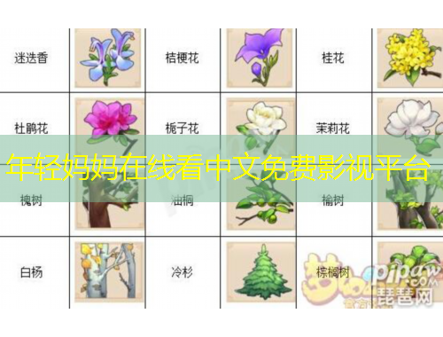 年輕媽媽在線看中文免費(fèi)影視平臺(tái)