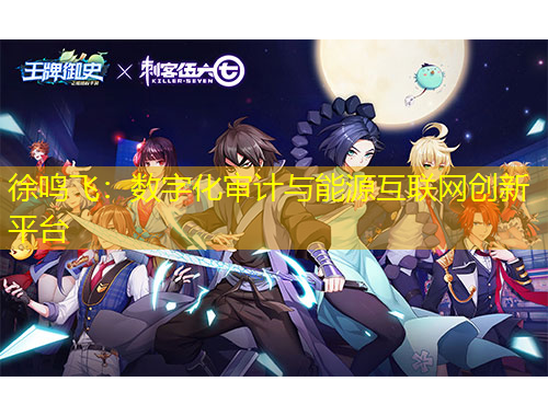 徐鳴飛：數(shù)字化審計與能源互聯(lián)網(wǎng)創(chuàng)新平臺