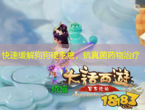 快速緩解狗狗硬疙瘩，抗真菌藥物治療