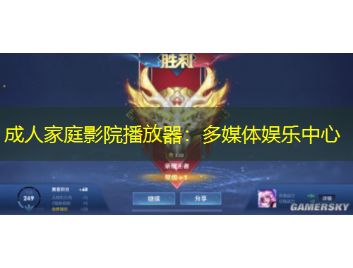 成人家庭影院播放器：多媒體娛樂中心