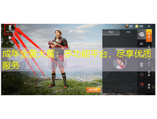 成年全黃大黃：多功能平臺(tái)，盡享優(yōu)質(zhì)服務(wù)