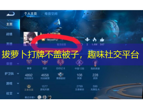 拔蘿卜打牌不蓋被子，趣味社交平臺(tái)