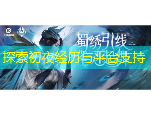 探索初夜經(jīng)歷與平臺支持