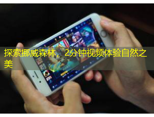 探索挪威森林，2分鐘視頻體驗(yàn)自然之美