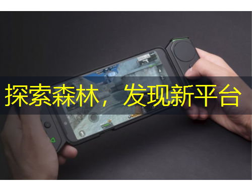 探索森林，發(fā)現(xiàn)新平臺