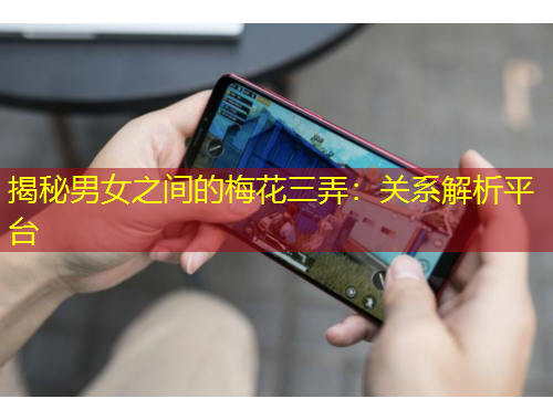揭秘男女之間的梅花三弄：關(guān)系解析平臺(tái)