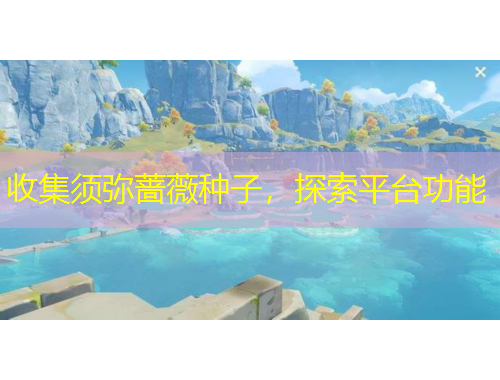 收集須彌薔薇種子，探索平臺功能