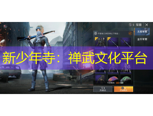 新少年寺：禪武文化平臺