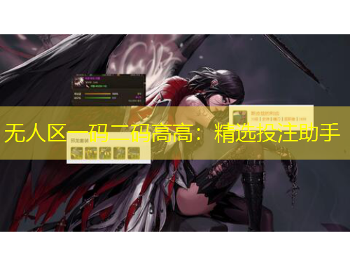 無(wú)人區(qū)一碼二碼高高：精選投注助手