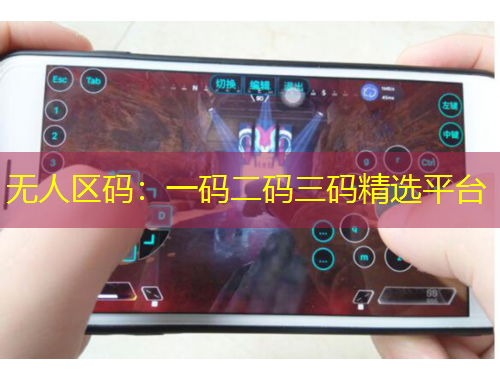 無人區(qū)碼：一碼二碼三碼精選平臺