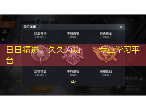 日日精進，久久為功——專業(yè)學(xué)習(xí)平臺