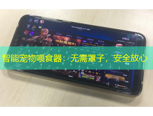 智能寵物喂食器：無需罩子，安全放心