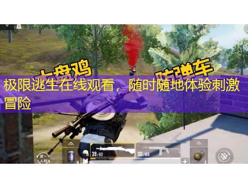 極限逃生在線觀看，隨時隨地體驗刺激冒險