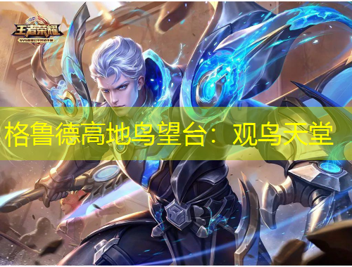 格魯?shù)赂叩伉B望臺(tái)：觀鳥天堂