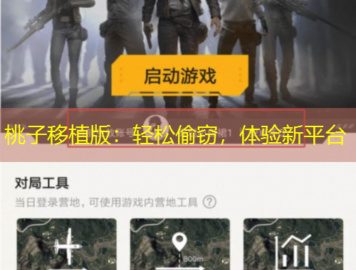 桃子移植版：輕松偷竊，體驗新平臺