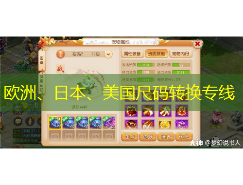 歐洲、日本、美國(guó)尺碼轉(zhuǎn)換專線