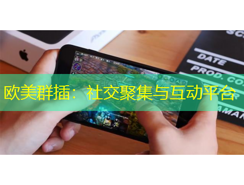歐美群插：社交聚集與互動(dòng)平臺(tái)