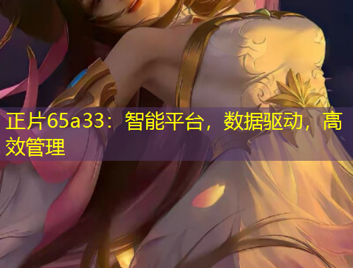 正片65a33：智能平臺，數(shù)據(jù)驅(qū)動，高效管理