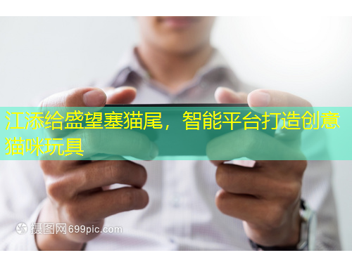 江添給盛望塞貓尾，智能平臺打造創(chuàng)意貓咪玩具