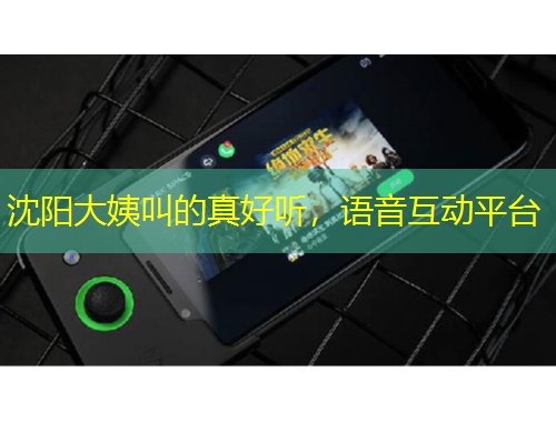 沈陽大姨叫的真好聽，語音互動平臺