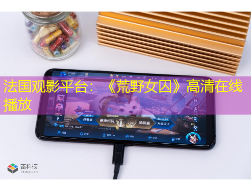 法國(guó)觀影平臺(tái)：《荒野女囚》高清在線(xiàn)播放