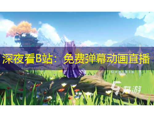 深夜看B站：免費(fèi)彈幕動(dòng)畫直播