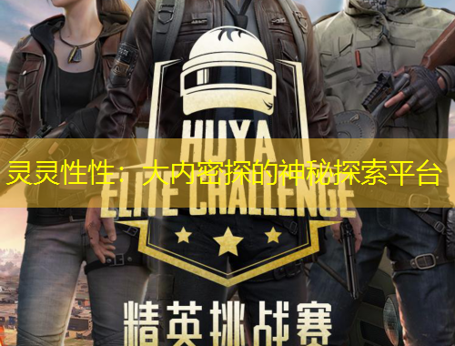 靈靈性性：大內(nèi)密探的神秘探索平臺(tái)