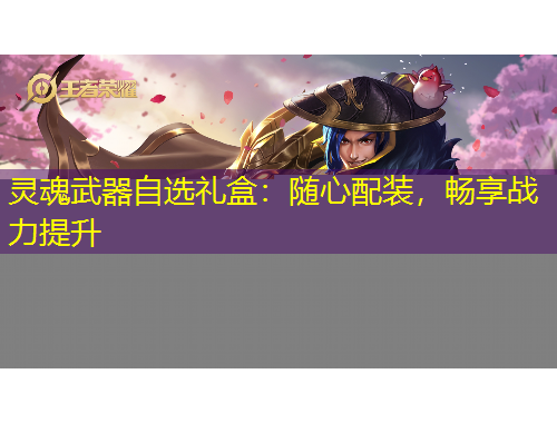 靈魂武器自選禮盒：隨心配裝，暢享戰(zhàn)力提升
