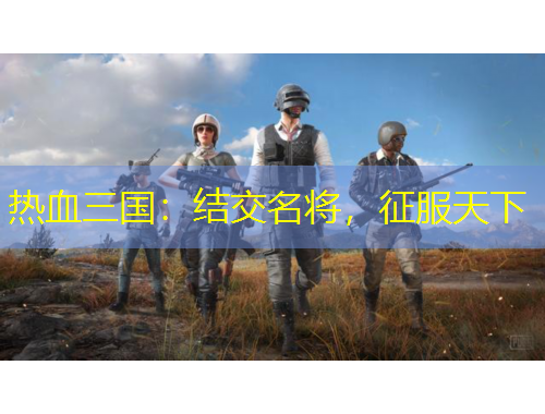 熱血三國(guó)：結(jié)交名將，征服天下