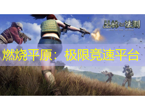 燃燒平原：極限競速平臺