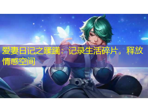 愛妻日記之蹂躪：記錄生活碎片，釋放情感空間