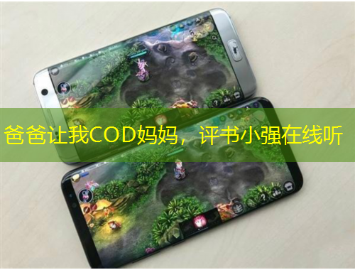 爸爸讓我COD媽媽，評書小強(qiáng)在線聽