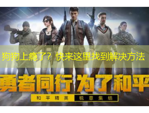 狗狗上癮了？快來這里找到解決方法