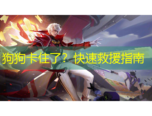 狗狗卡住了？快速救援指南