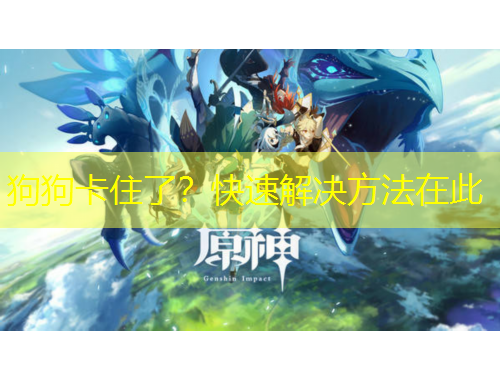 狗狗卡住了？快速解決方法在此