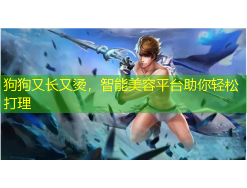 狗狗又長又燙，智能美容平臺助你輕松打理